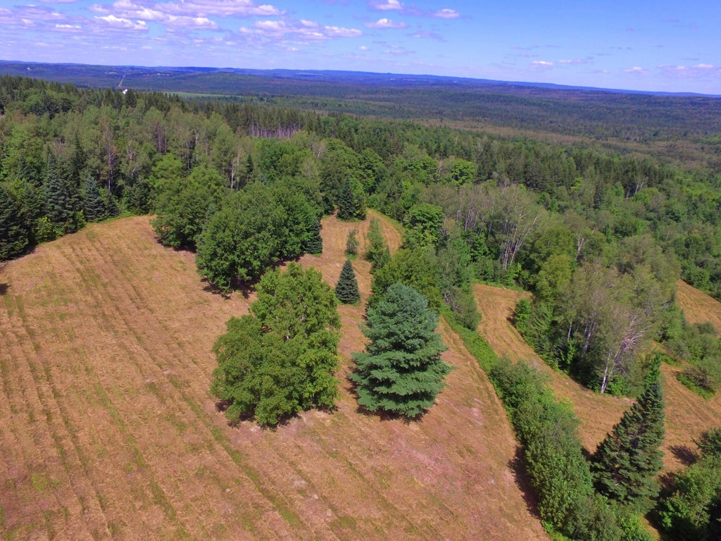 Photo of M11L114.5G New Sweden Road, New Sweden, ME 04762 (MLS # 1677454)