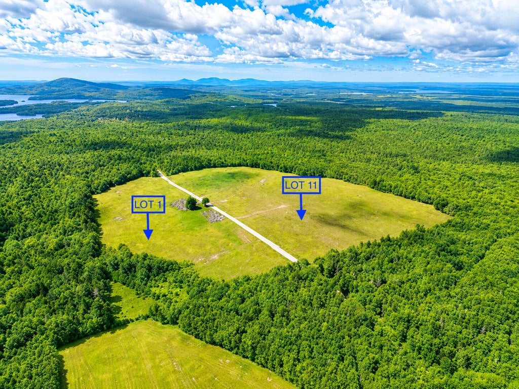 Photo of L1,4,9,11 Martins Ridge Road, Franklin, ME 04634 (MLS # 1674556)
