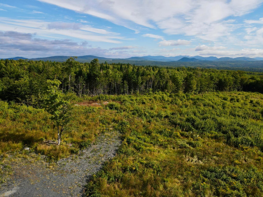Photo of 7 East Ridge Drive, Greenville, ME 04441 (MLS # 1669121)