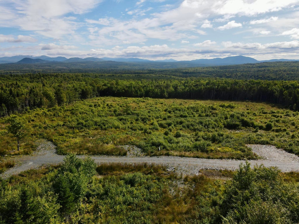 Photo of 7 East Ridge Drive, Greenville, ME 04441 (MLS # 1669121)