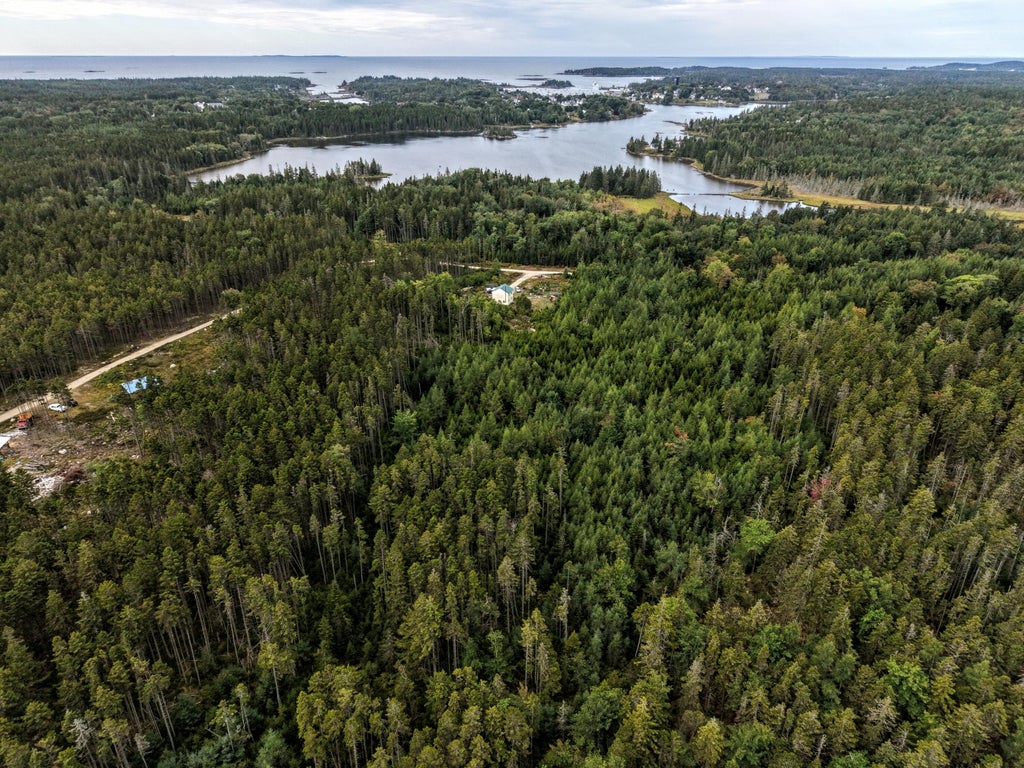 Photo of 00 Backwoods Road, Vinalhaven, ME 04863 (MLS # 1680848)