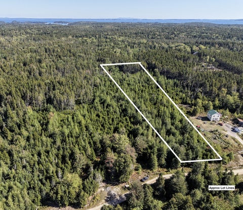 Photo of 00 Backwoods Road, Vinalhaven, ME 04863 (MLS # 1680848)