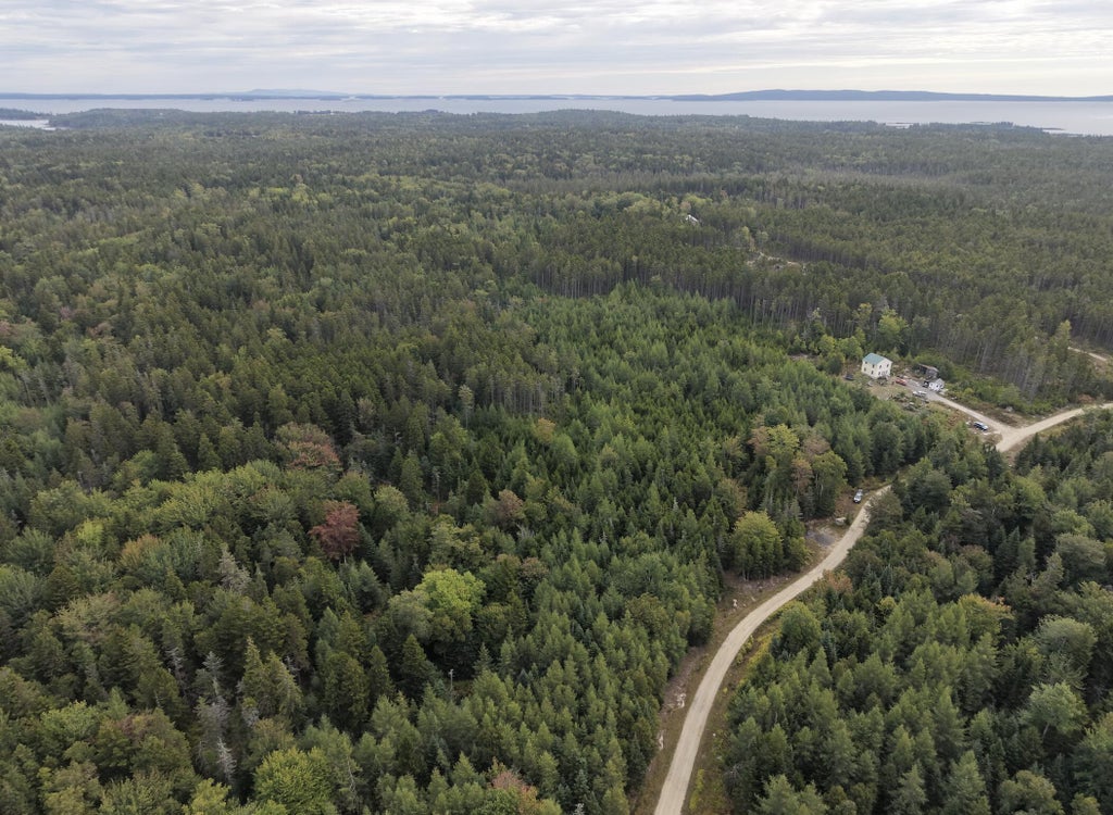 Photo of 00 Backwoods Road, Vinalhaven, ME 04863 (MLS # 1680848)