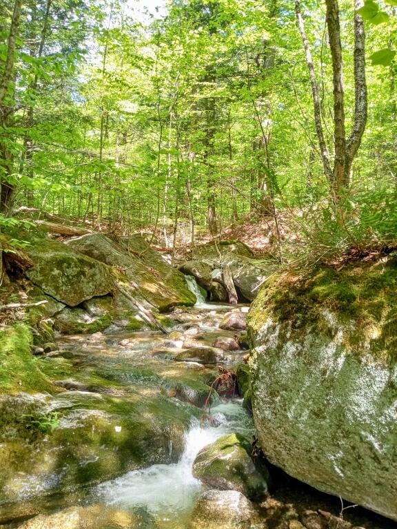 Photo of 2401 Long Falls Dam Road, Highland Plt, ME 04961 (MLS # 1667256)