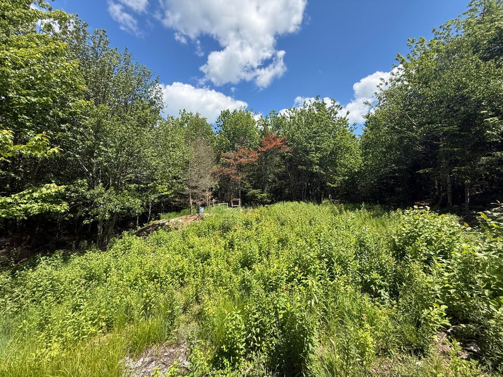 Photo of Lot 27 Lively Brook Acres, Whiting, ME 04691 (MLS # 1667659)