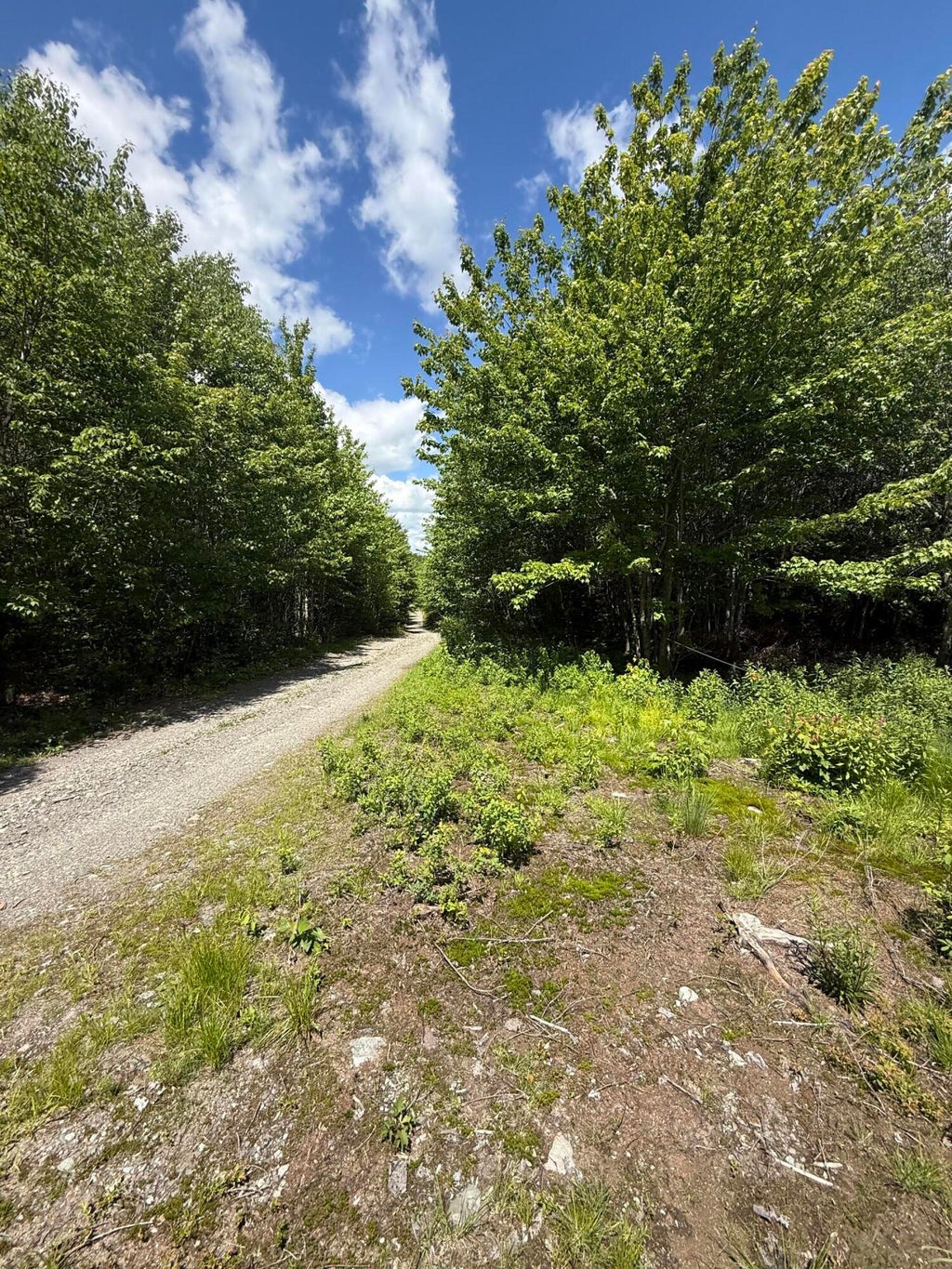 Photo of Lot 27 Lively Brook Acres, Whiting, ME 04691 (MLS # 1667659)