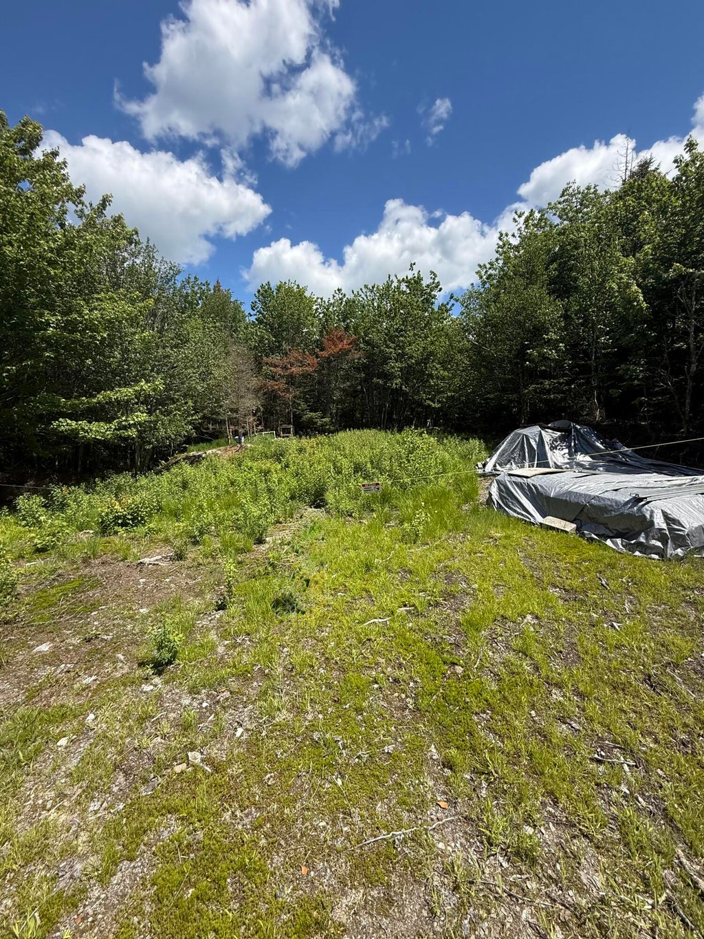 Photo of Lot 27 Lively Brook Acres, Whiting, ME 04691 (MLS # 1667659)