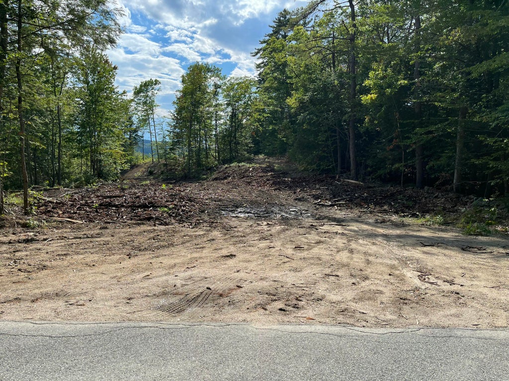 Photo of 203 Robinson Hill Road, Sebago, ME 04029 (MLS # 1679478)