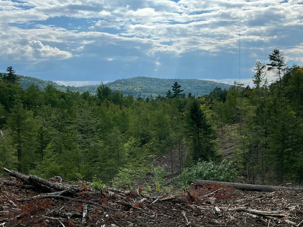 Photo of 203 Robinson Hill Road, Sebago, ME 04029 (MLS # 1679478)