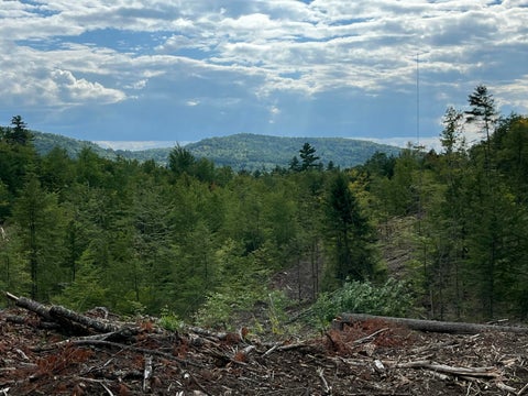 Photo of 203 Robinson Hill Road, Sebago, ME 04029 (MLS # 1679478)