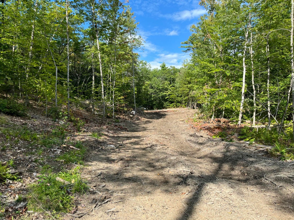 Photo of 203 Robinson Hill Road, Sebago, ME 04029 (MLS # 1679478)