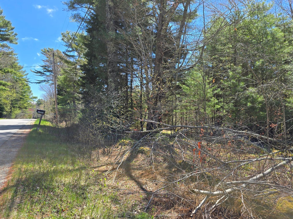 Photo of Lot #1 Turkey Cove Road, Saint George, ME 04860 (MLS # 1661209)