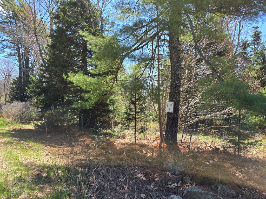 Photo of Lot #1 Turkey Cove Road, Saint George, ME 04860 (MLS # 1661209)