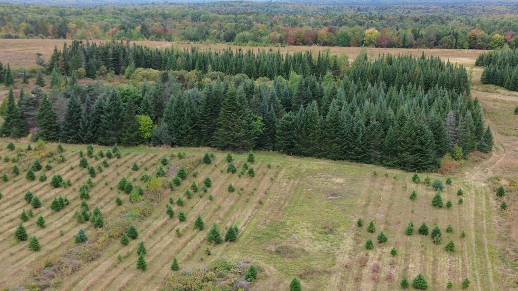 Photo of 0 W Ridge Road, Littleton, ME 04730 (MLS # 1680441)