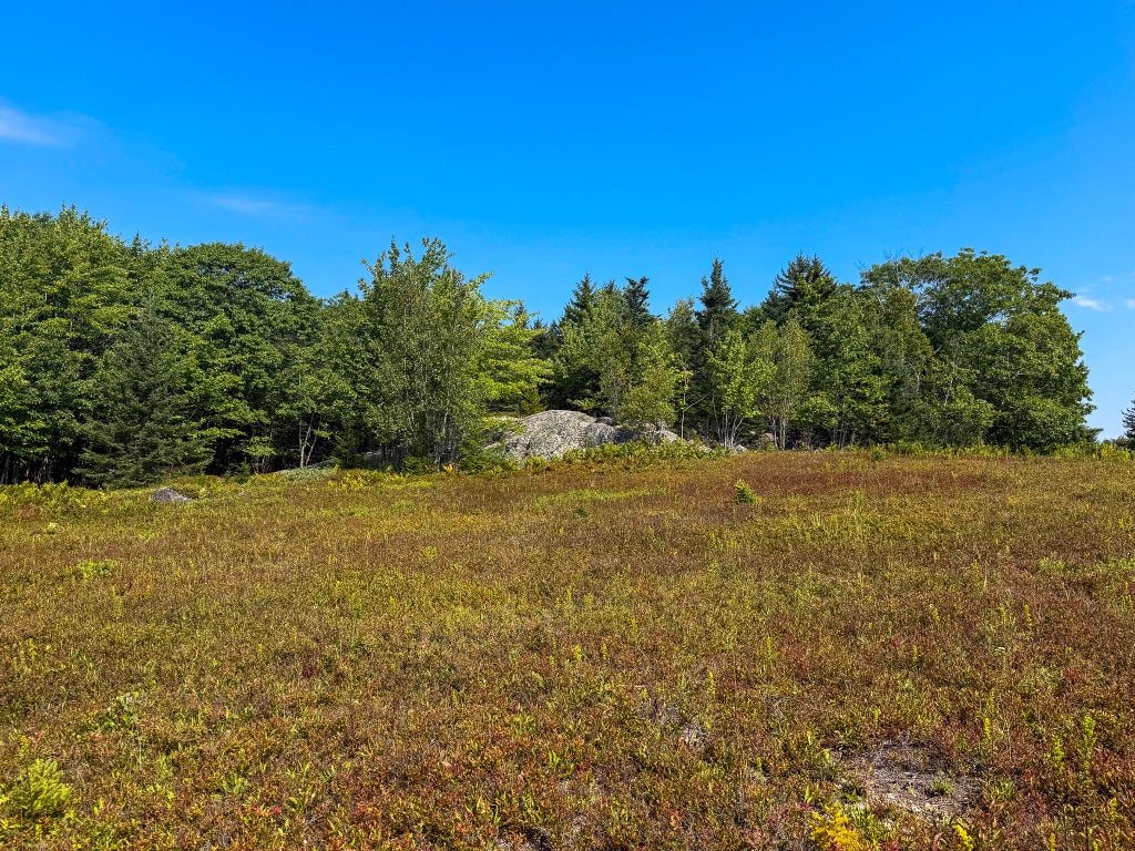 Photo of Lot 14 Off Bartlett Street, Machias, ME 04654 (MLS # 1680088)