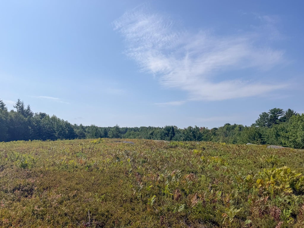 Photo of Lot 14 Off Bartlett Street, Machias, ME 04654 (MLS # 1680088)