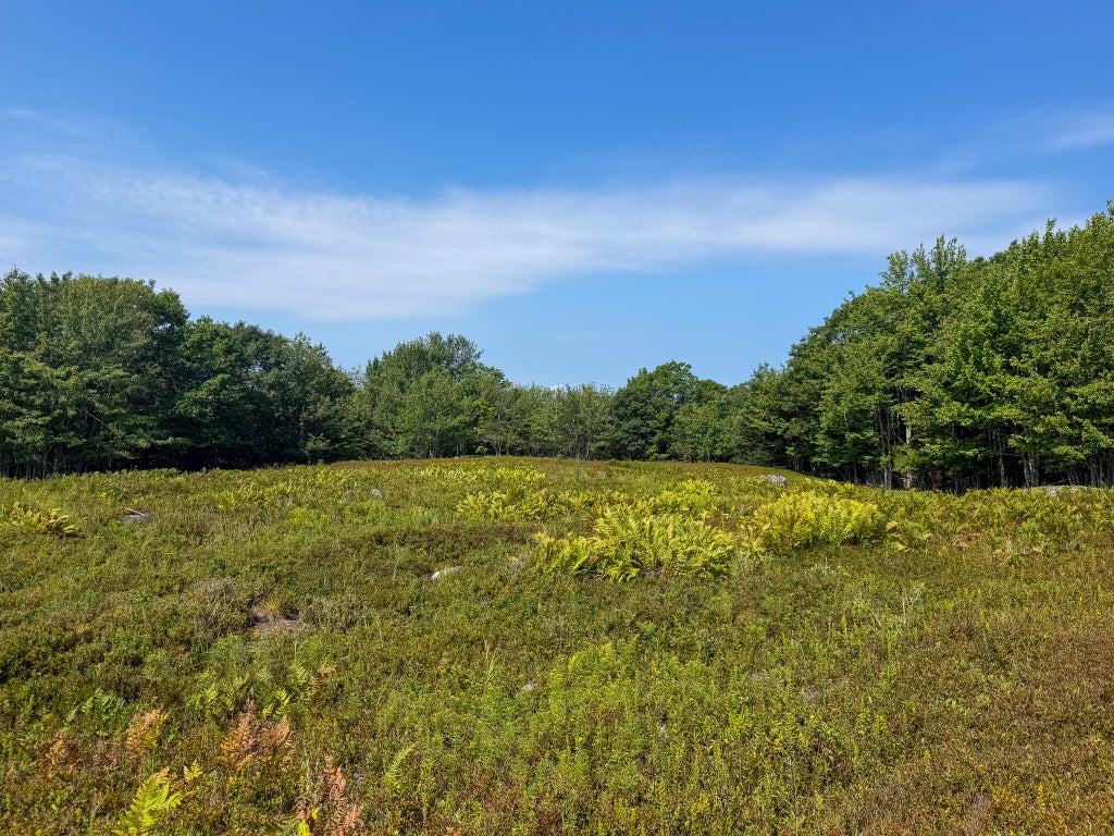 Photo of Lot 14 Off Bartlett Street, Machias, ME 04654 (MLS # 1680088)