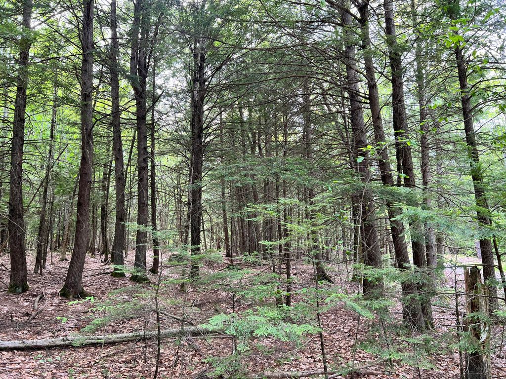 Photo of 139A Pratt Road, Bowdoinham, ME 04008 (MLS # 1665293)
