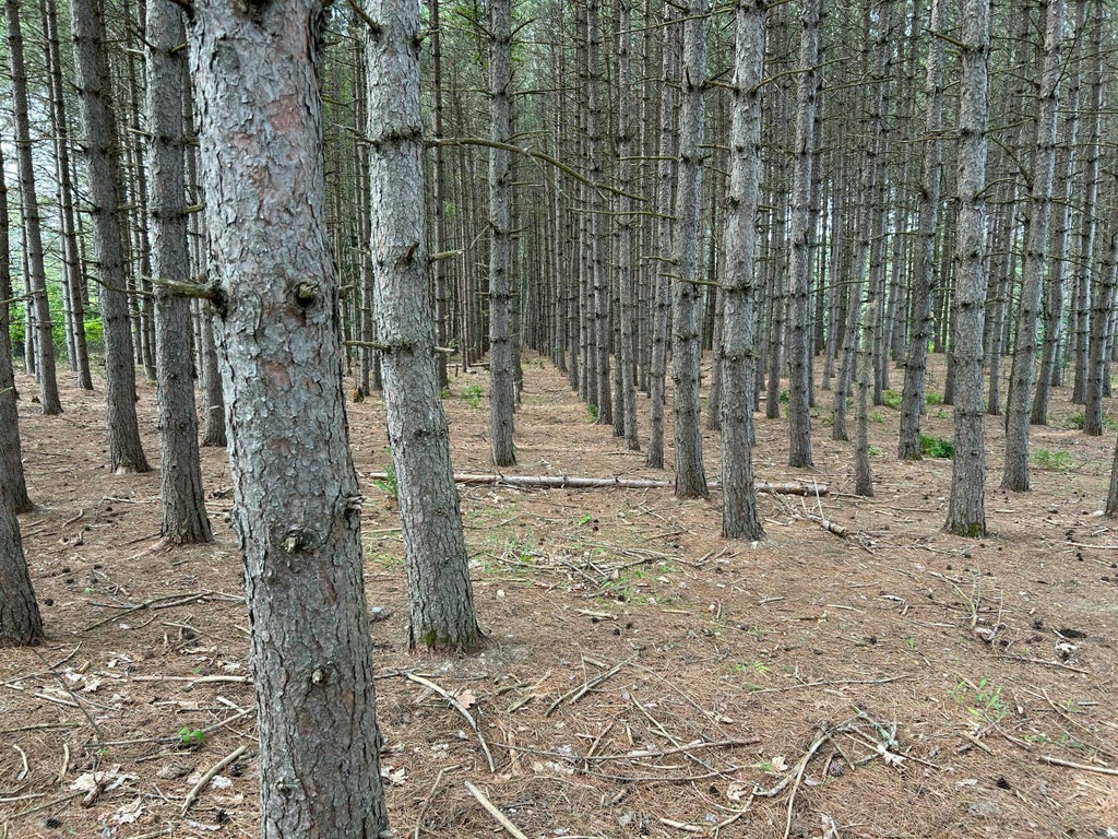 Photo of M12-GL122- East Road, New Sweden, ME 04762 (MLS # 1677177)