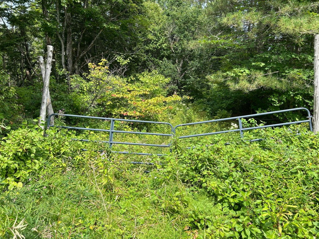Photo of M12-GL122- East Road, New Sweden, ME 04762 (MLS # 1677177)