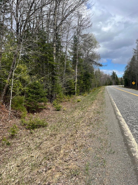 Photo of M6L9,10 Boundary Road, Orient, ME 04471 (MLS # 1680052)