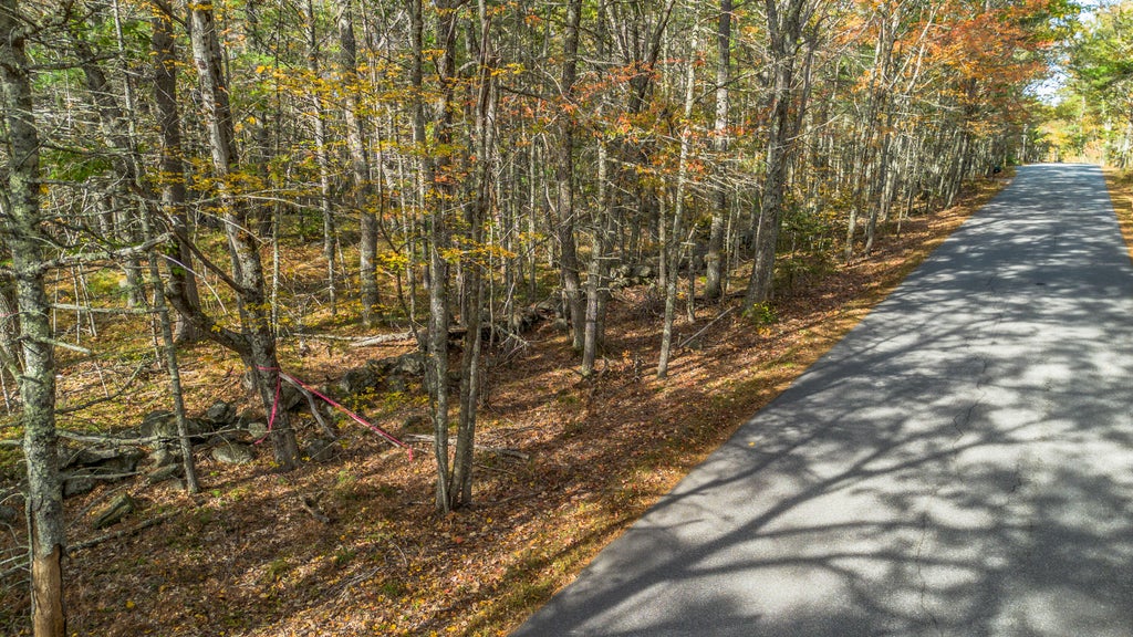 Photo of 00 Mountain Road, Woolwich, ME 04579 (MLS # 1684679)