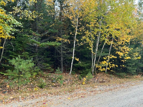 Photo of 9 Pret's Meadow Lane, Blue Hill, ME 04614 (MLS # 1684472)