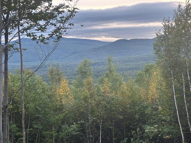 Photo of M14L54C-1 Skyline Drive, Andover, ME 04216 (MLS # 1683312)