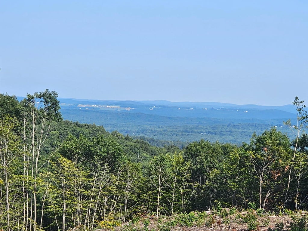 Photo of 13A McAlister Road, Buckfield, ME 04220 (MLS # 1674612)