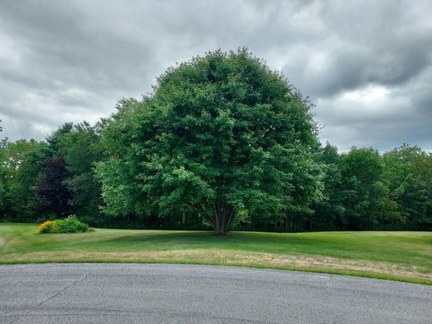 Photo of 27 Emery Avenue, Thomaston, ME 04861 (MLS # 1679509)
