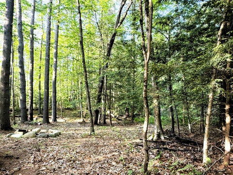 Photo of 51 Beaver Dam Road, Waterboro, ME 04061 (MLS # 1673476)