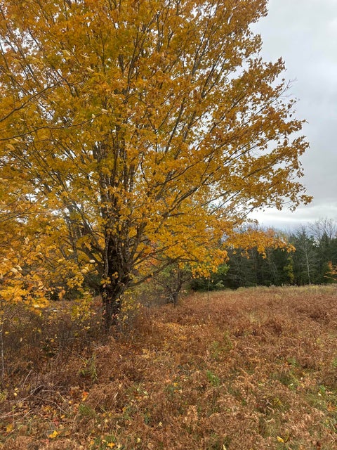 Photo of 72 McQuilkin Road, Solon, ME 04979 (MLS # 1684536)