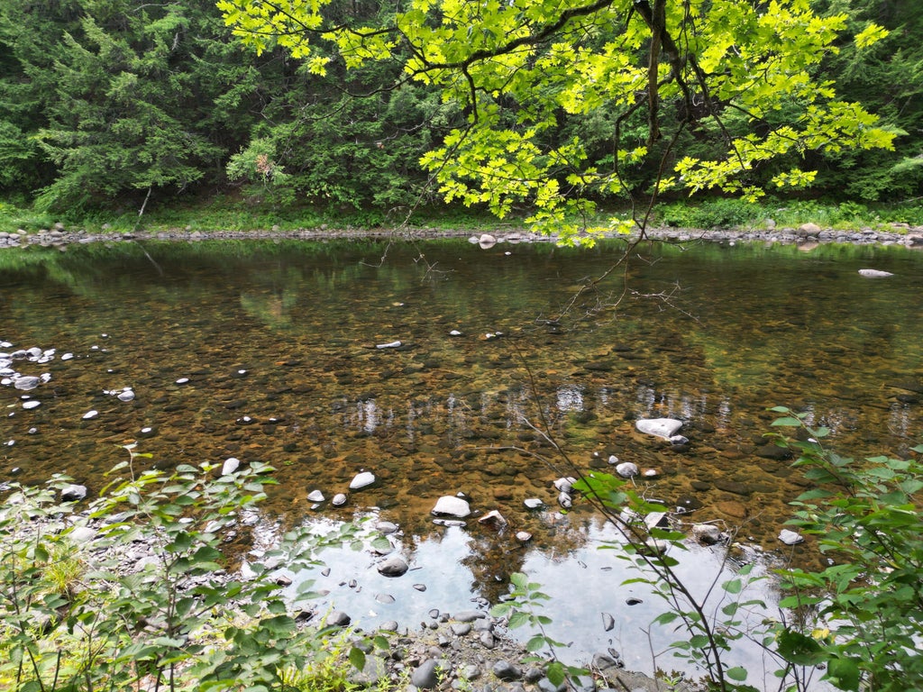 Photo of Lot 65-1 Church Street, Brownville, ME 04415 (MLS # 1675935)