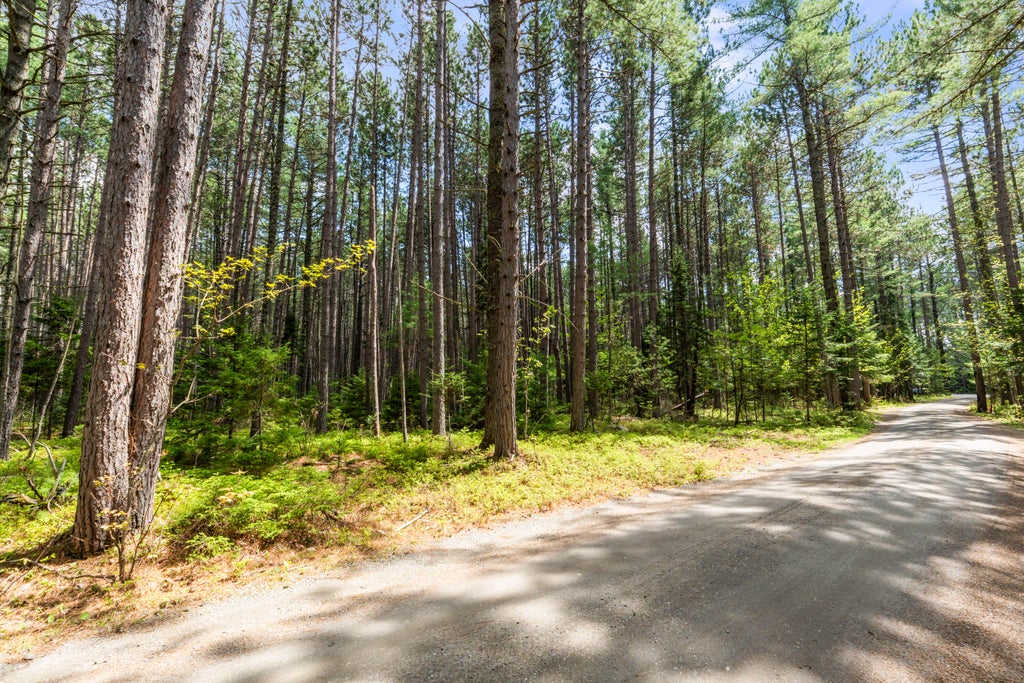 Photo of 81 B Red Pine Lane, Eustis, ME 04936 (MLS # 1654683)