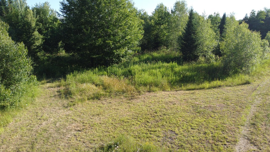 Photo of M6L3 Route 171, Reed Plt, ME 04497 (MLS # 1673720)