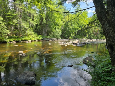 Photo of 15 Stan's Road, Harrison, ME 04040 (MLS # 1671100)