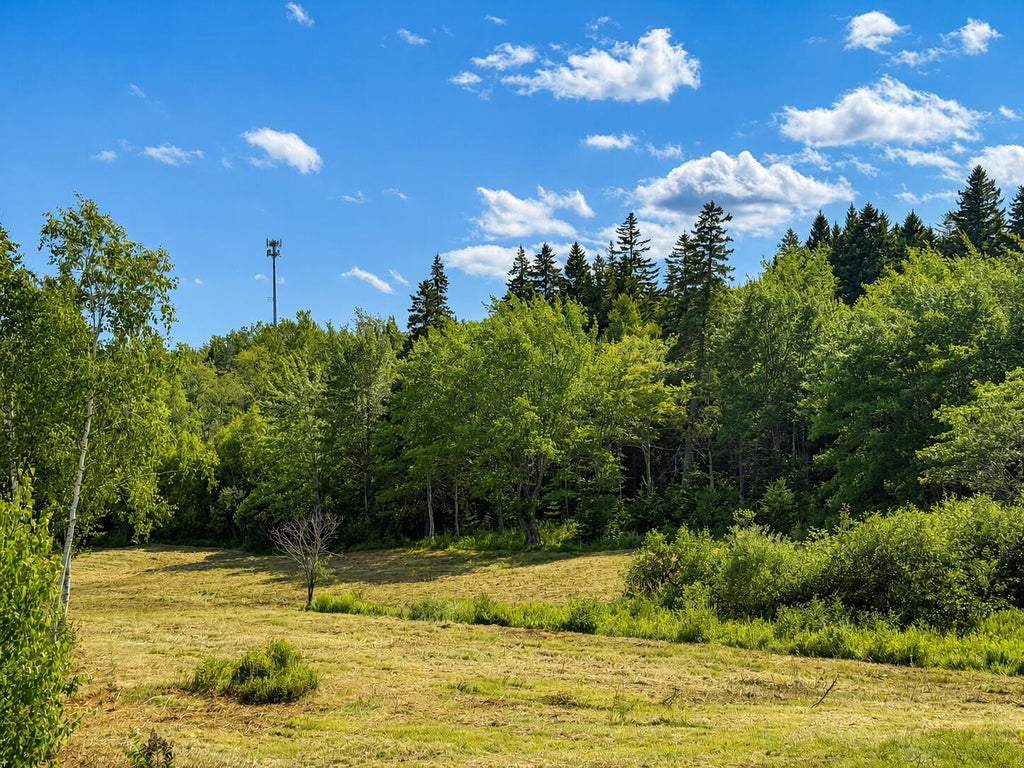 Photo of MAP9LOT1B Newman Street, Winter Harbor, ME 04693 (MLS # 1674180)