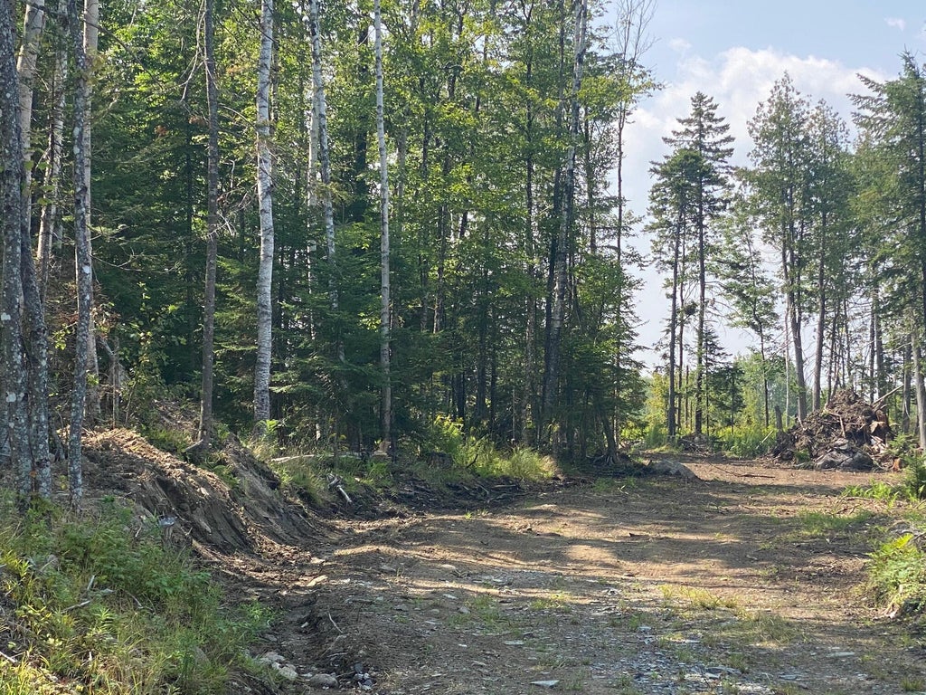 Photo of 7 Tumbledown Lane, Greenville, ME 04441 (MLS # 1576828)