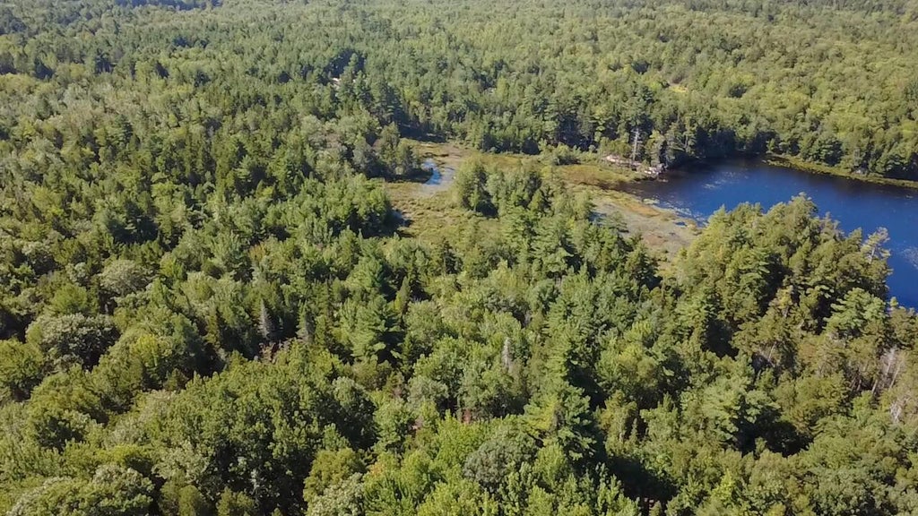 Photo of 0 Pine Hill Lane, Blue Hill, ME 04614 (MLS # 1677943)