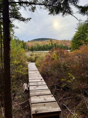 PINE HILL LN, BLUE HILL, ME 04614 - Image 17cd33640325fdd8d9ce85d8dfdf0ea6/998779211