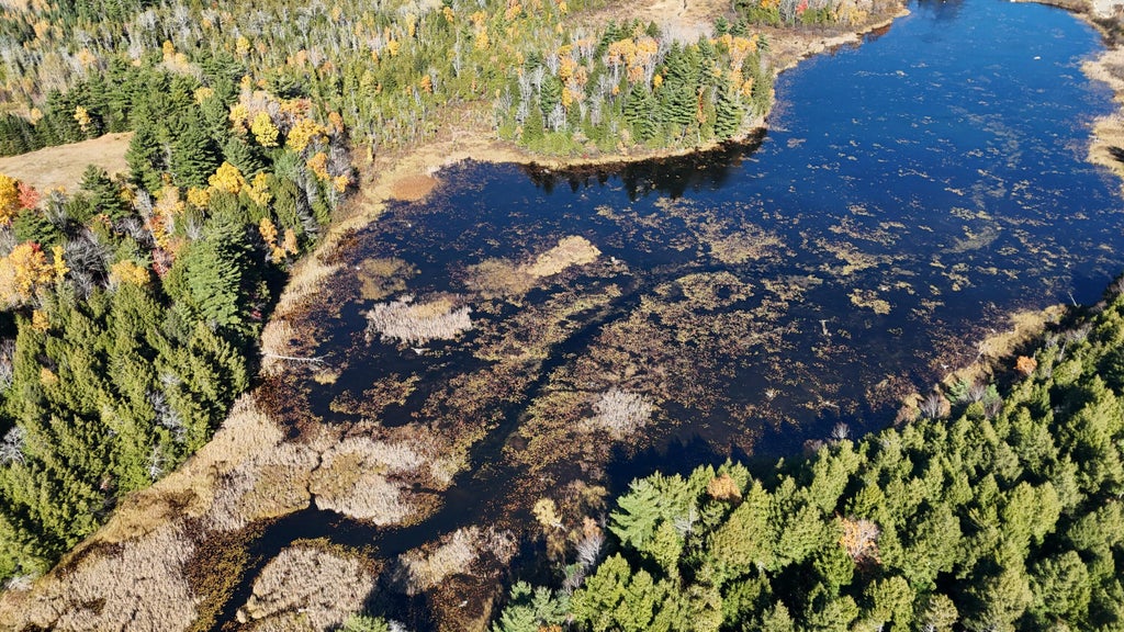 Photo of Lot 49 Lee Road, Lee, ME 04455 (MLS # 1684978)