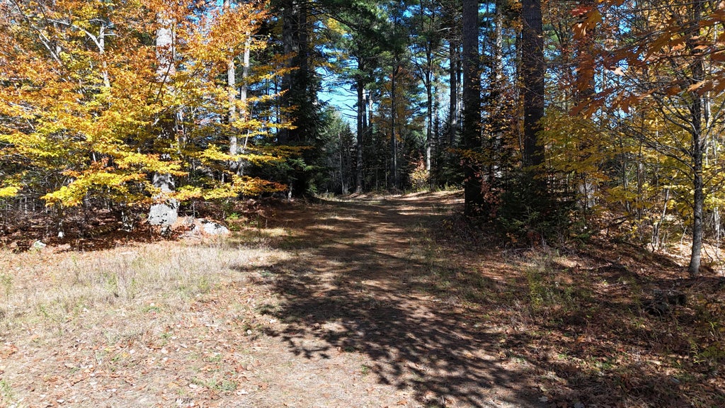 Photo of Lot 49 Lee Road, Lee, ME 04455 (MLS # 1684978)