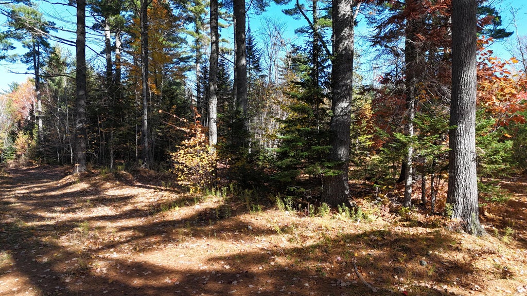 Photo of Lot 49 Lee Road, Lee, ME 04455 (MLS # 1684978)