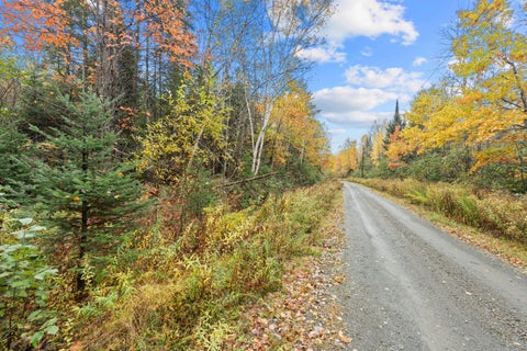 Photo of Lot #41-03 Forest Brook Drive, Abbot, ME 04406 (MLS # 1684648)