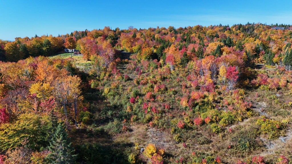 Photo of 1 East Ridge Drive, Greenville, ME 04441 (MLS # 1682936)