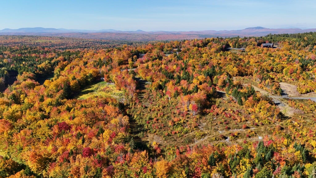 Photo of 1 East Ridge Drive, Greenville, ME 04441 (MLS # 1682936)