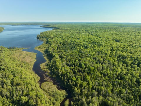 Photo of 0 Off Dixie Road, Unorganized Aroostook, ME 04497 (MLS # 1664823)