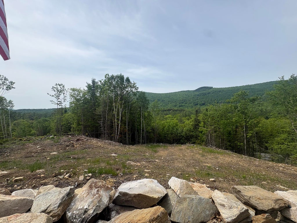 Photo of Map10Lot13 Swift River Road, Byron, ME 04275 (MLS # 1667041)