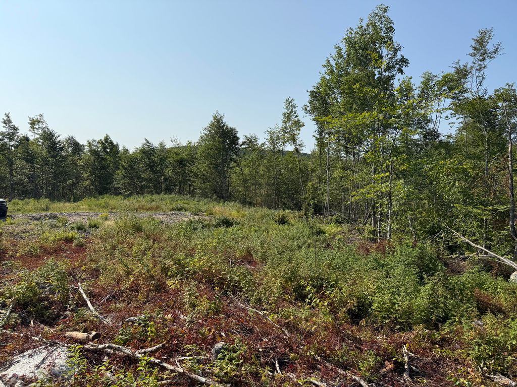 Photo of TBD Oak Mountain Road, Springfield, ME 04487 (MLS # 1671424)