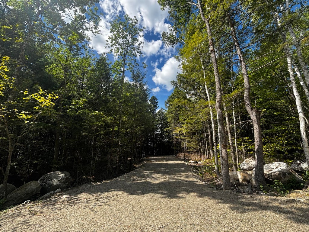 Photo of Lot 5 Merganser Lane, Lincoln, ME 04457 (MLS # 1679266)